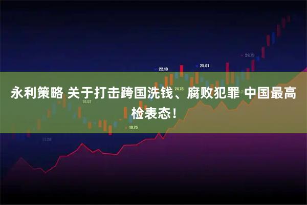 永利策略 关于打击跨国洗钱、腐败犯罪 中国最高检表态！