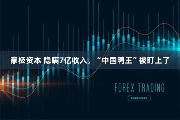 豪极资本 隐瞒7亿收入，“中国鸭王”被盯上了