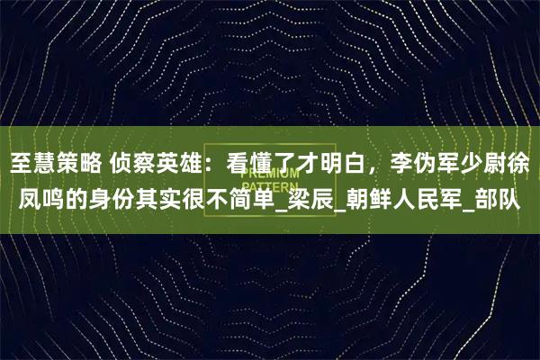 至慧策略 侦察英雄：看懂了才明白，李伪军少尉徐凤鸣的身份其实很不简单_梁辰_朝鲜人民军_部队
